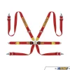 Sabelt FIA Approved 6-Point GT Saloon Racing Harness