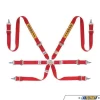 Sabelt FIA Approved 6-Point Saloon Racing Harness