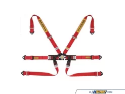 Sabelt FIA Approved 6-Point Formula Style Racing Harness