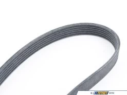 Rein Accessory Belt - E70