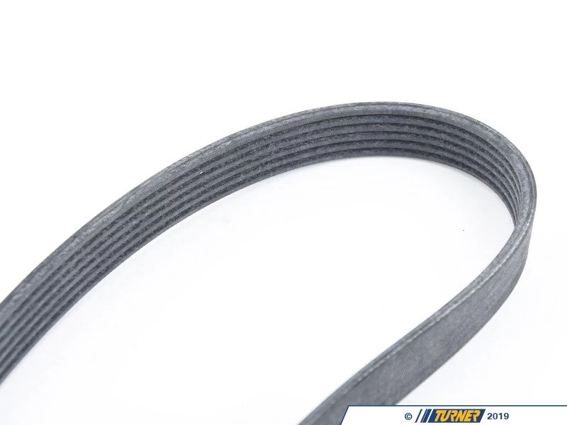 Rein Accessory Belt - E70