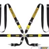 Sabelt FIA Approved GT Racing Harness