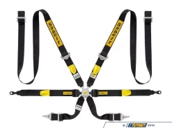 Sabelt FIA Approved GT Racing Harness