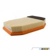 Mahle Air Filter - F10