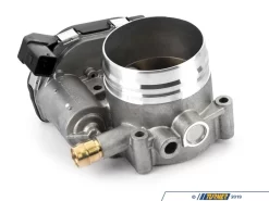 Continental Throttle Body Assembly