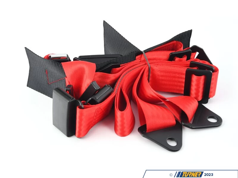 Red 4-Point Bolt-In - Image 4