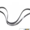 Continental Accessory Belt - E36