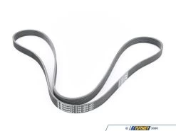 Continental Accessory Belt - E36