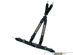 Schroth Rallye 4 Harness